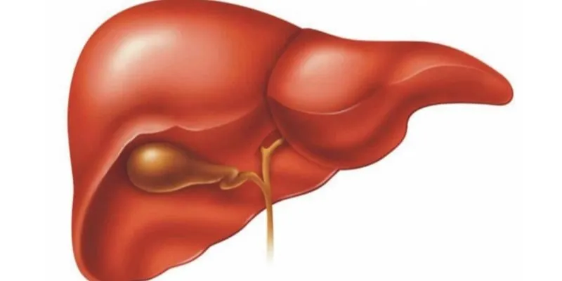 Hội nghị gan mật: Cập nhật và hướng đi mới trong điều trị bệnh lý gan mật